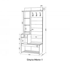 ОЛЬГА-МИЛК Прихожая (модульная) | фото 2